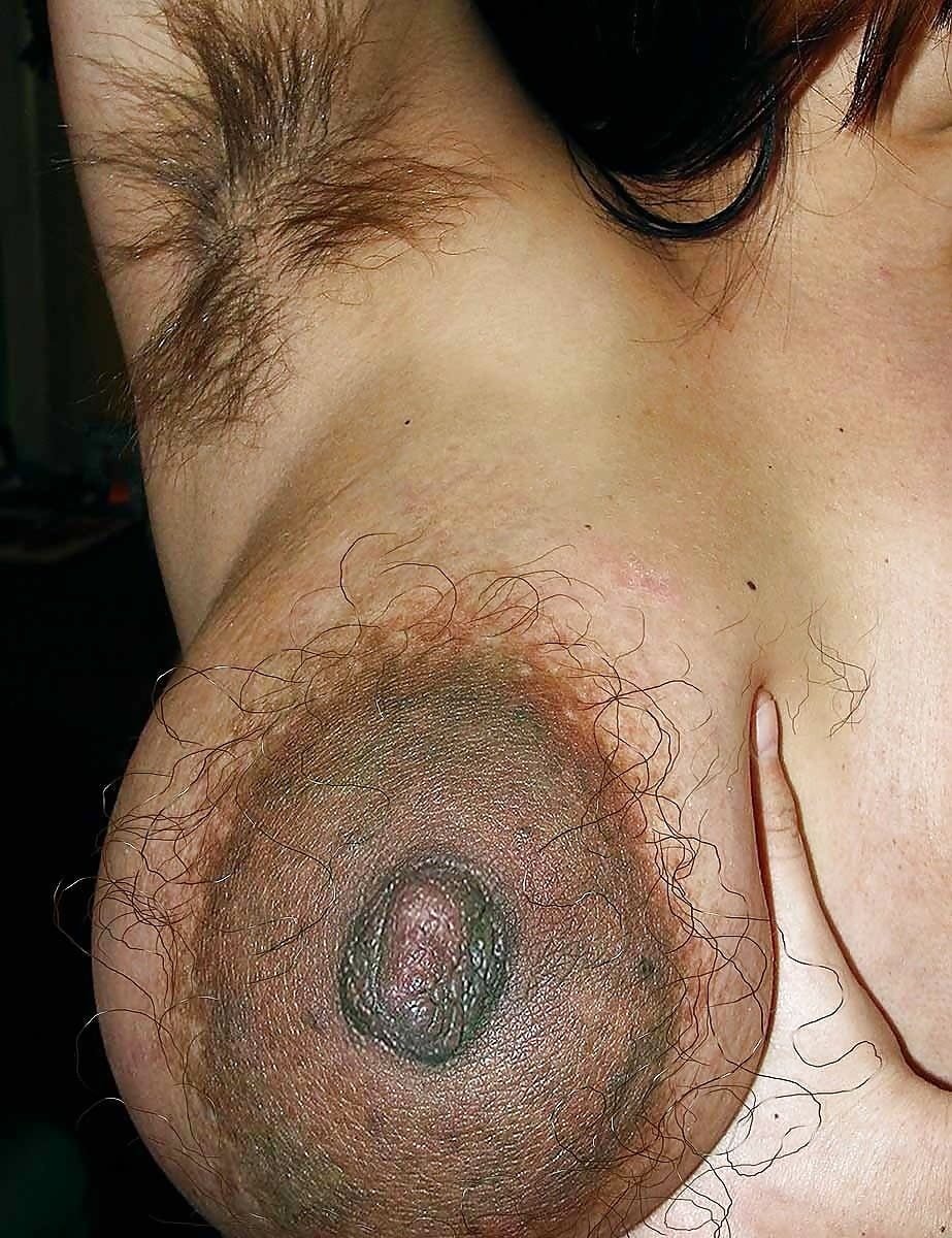 Porno волосатая грудь фото 1