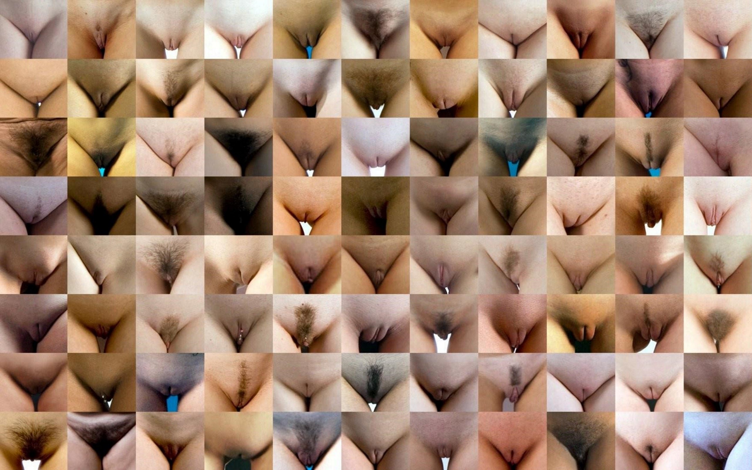 Разновидности женских писек - отличная подборка (120 photo)
