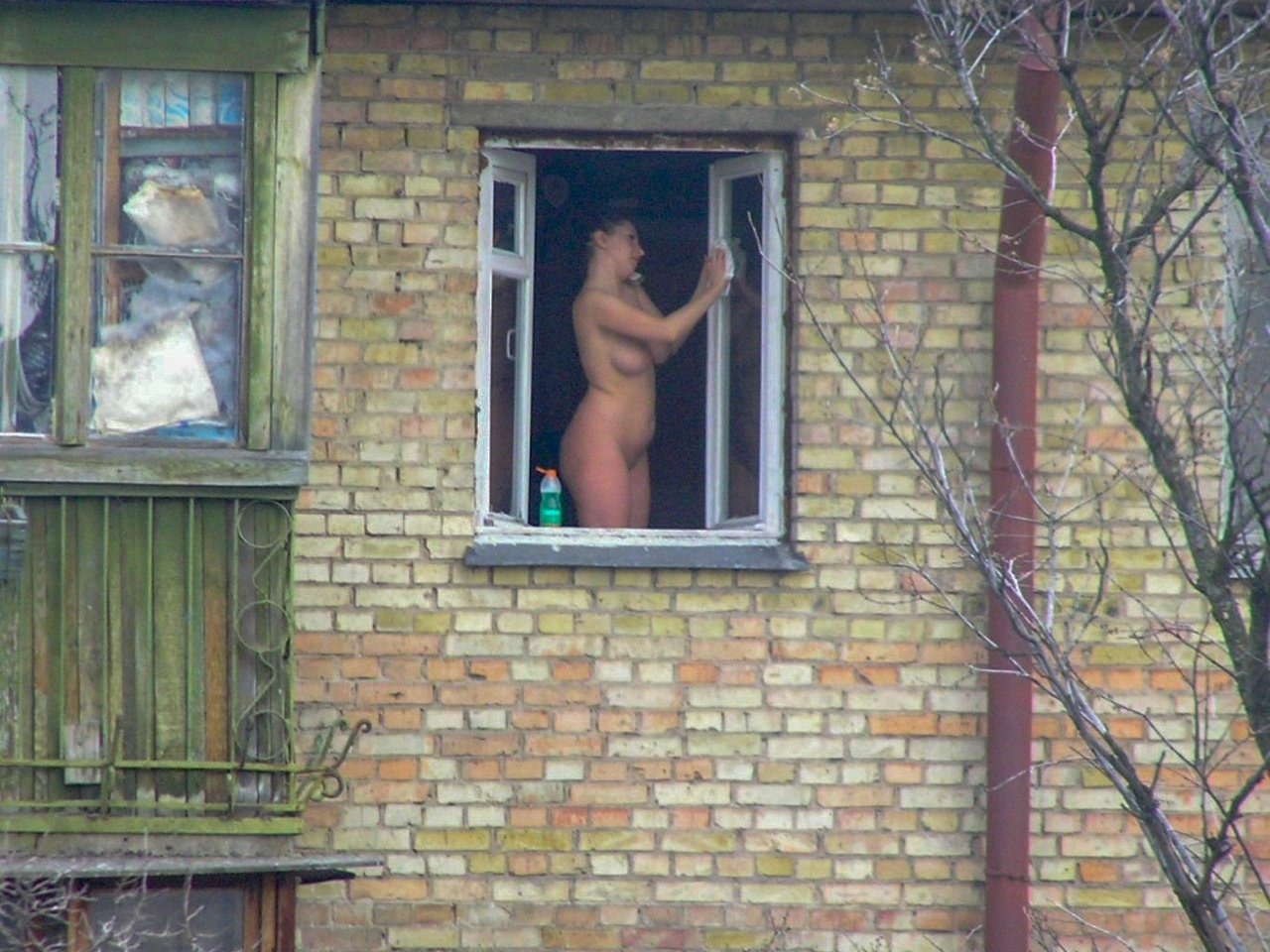 голая жена моет окно