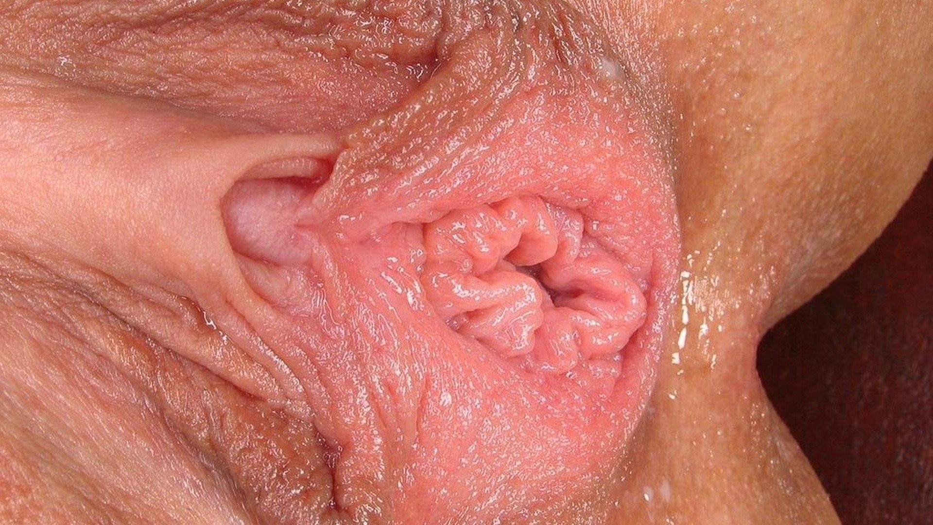 Фото самых красивых вагин