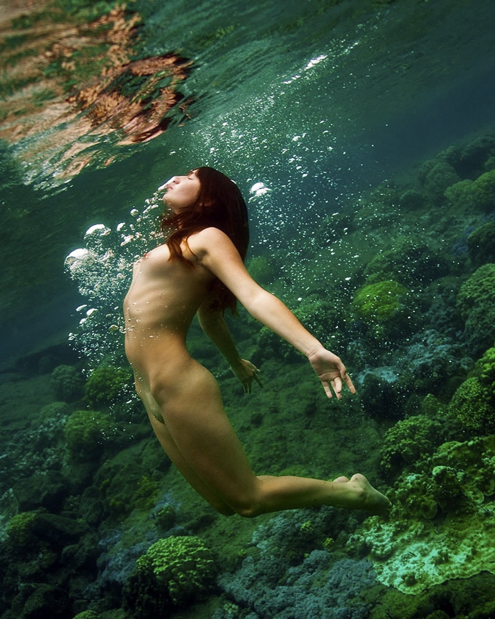 Голые женщины с ластами под водой (61 фото)