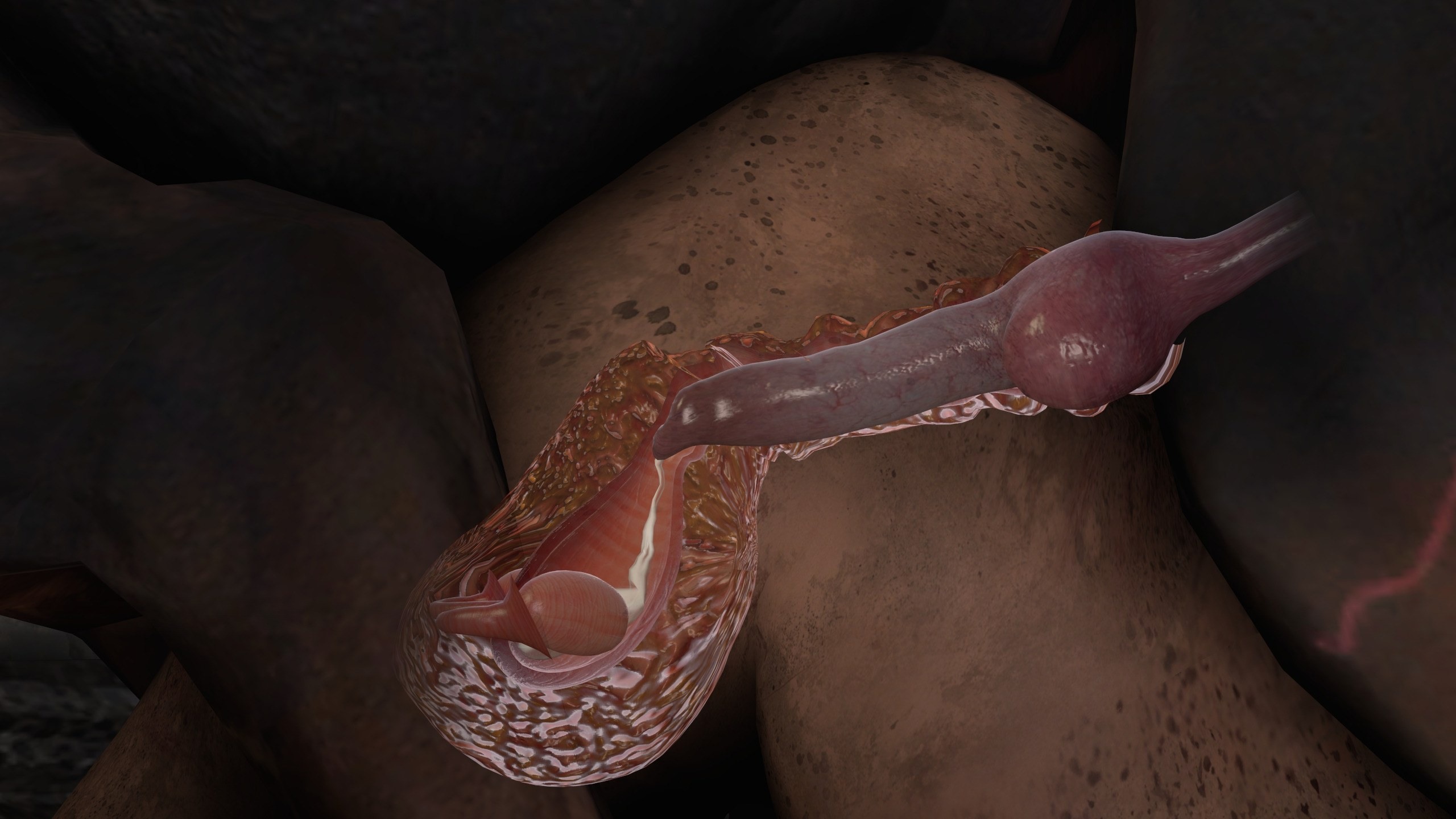 сперма в влагалище во время беременности фото 77