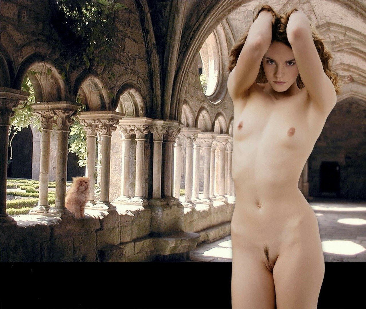 Hermione granger nude fakes